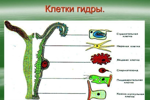 Kraken market ссылка