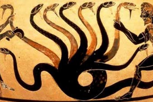 Kraken рынок