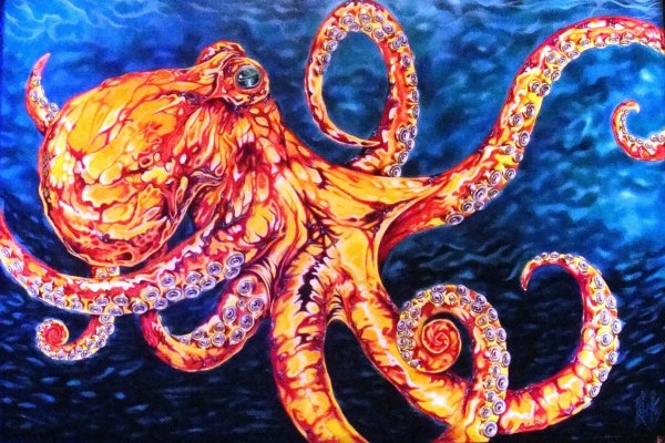 Kraken ссылка kraken014 com