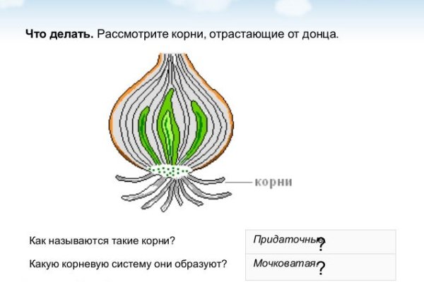 Ссылки в тор